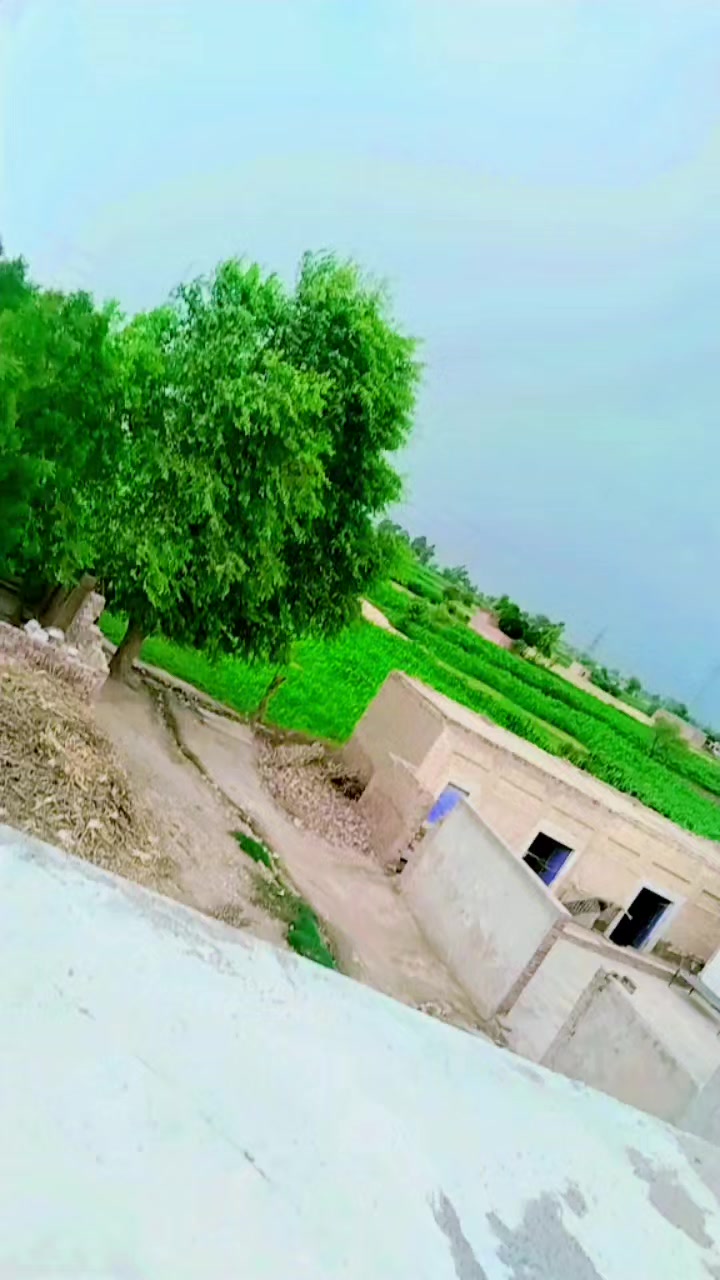 @manshat472