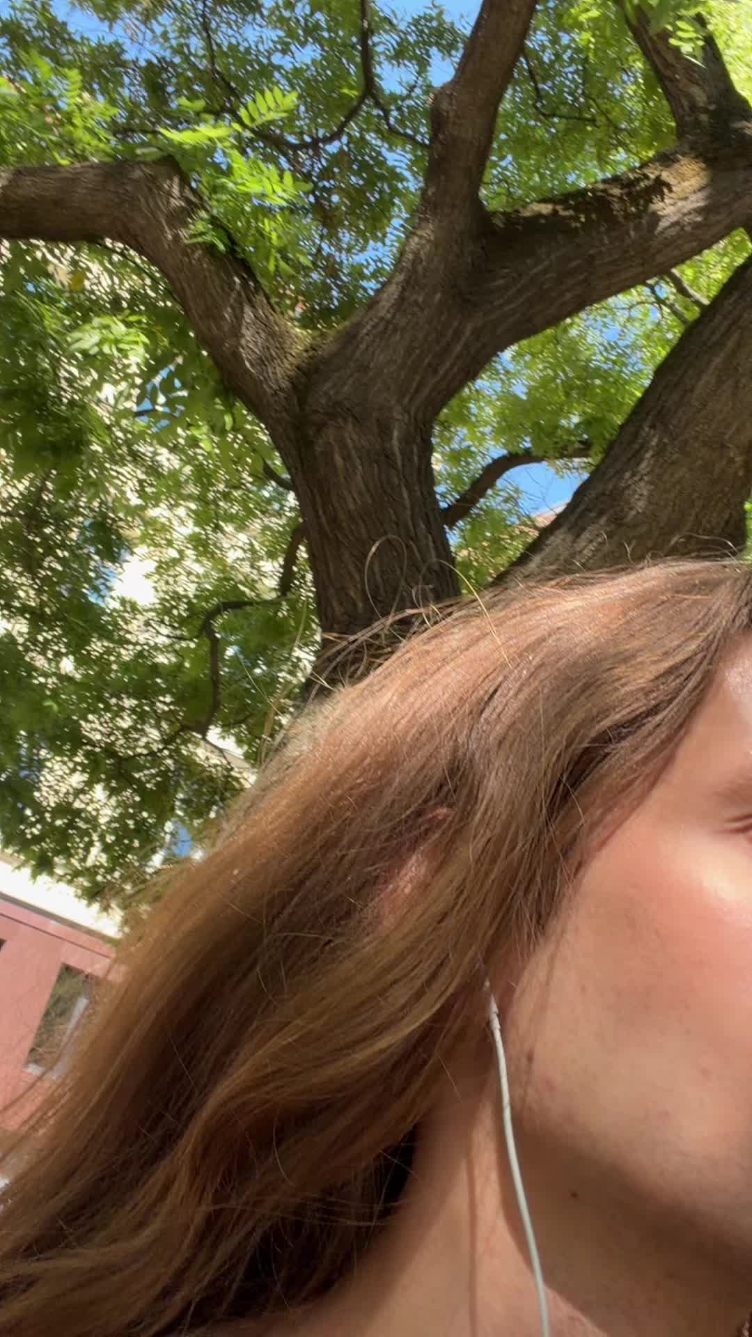 @grishaaasg