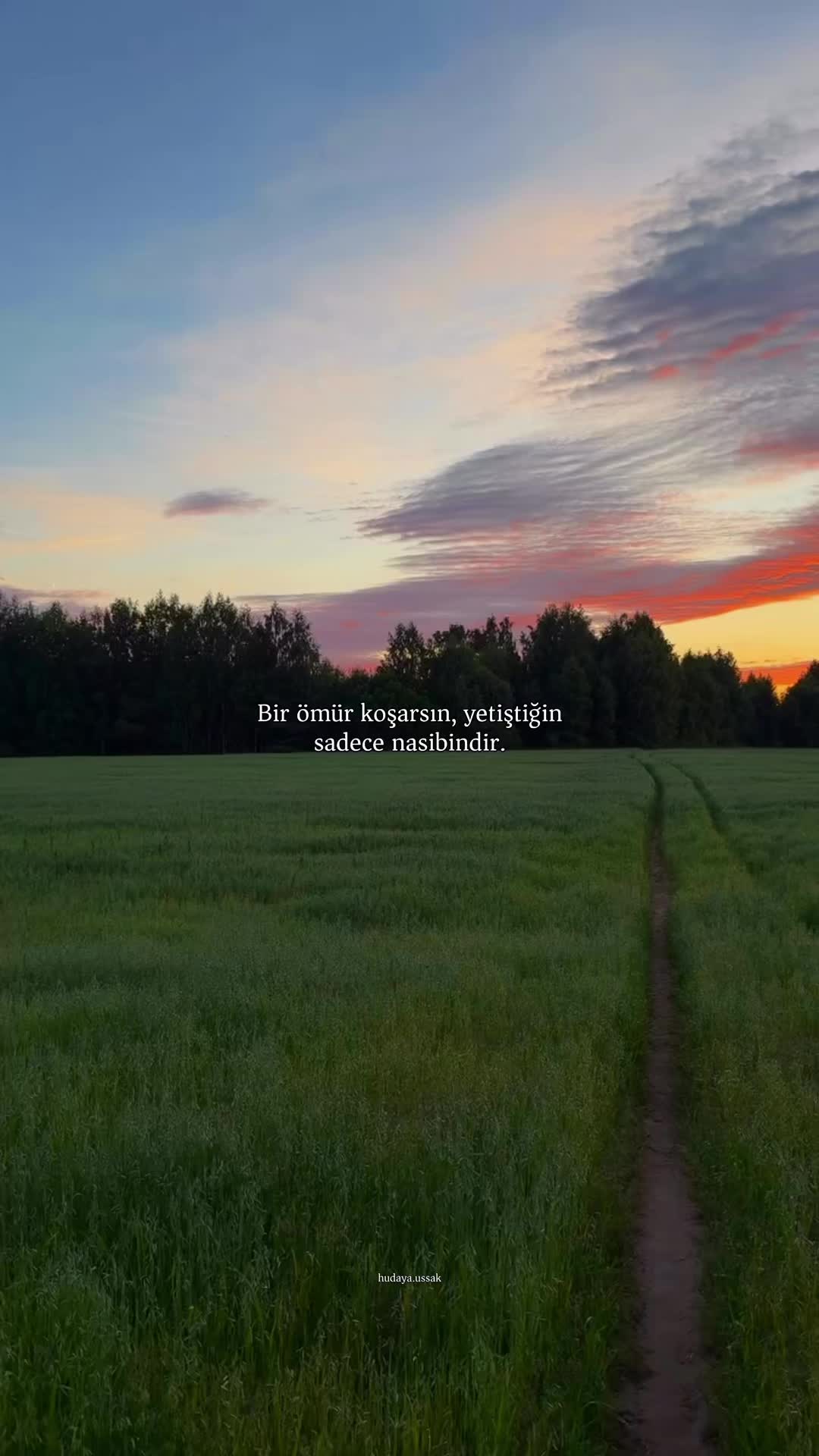 @Şabir