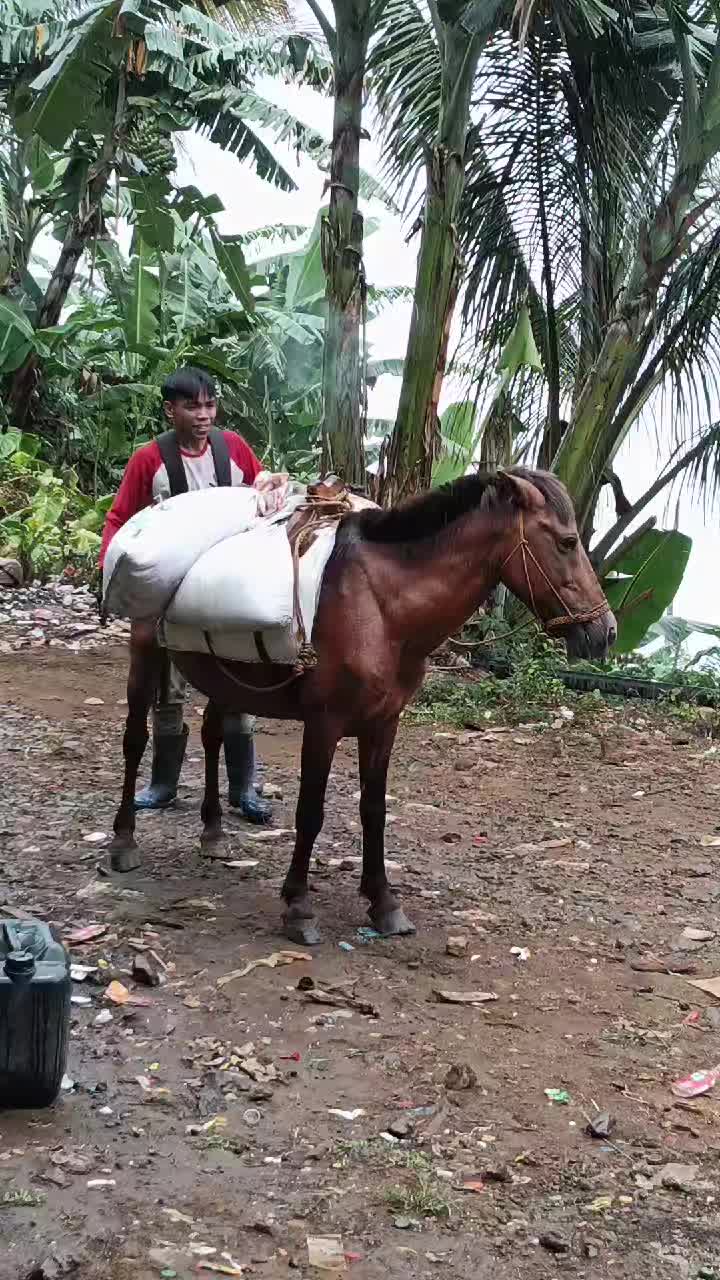 @Ar Ar