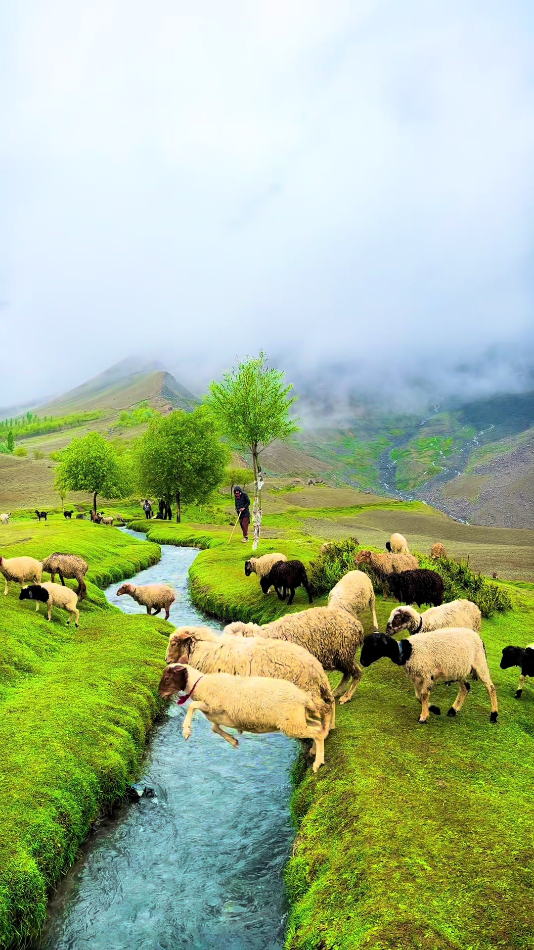@GB Tours.pk