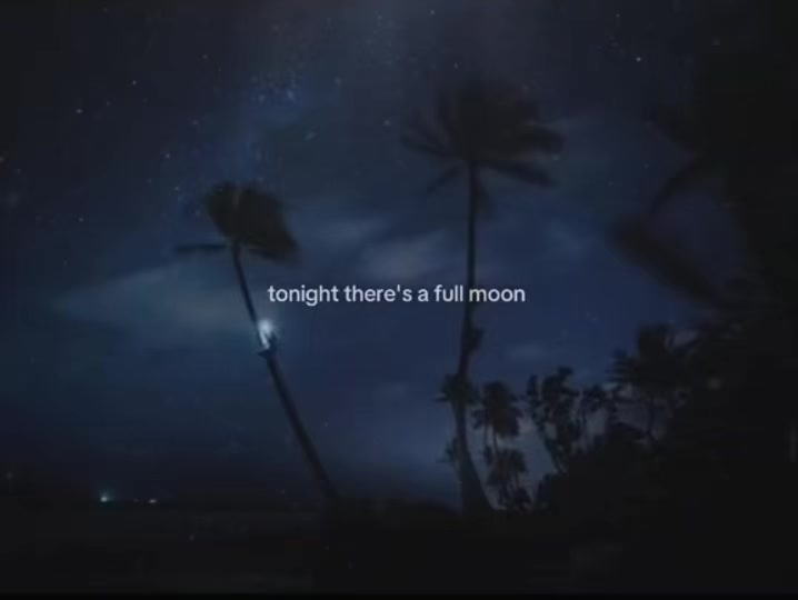 @lunar &middot;. ☽︎⋆