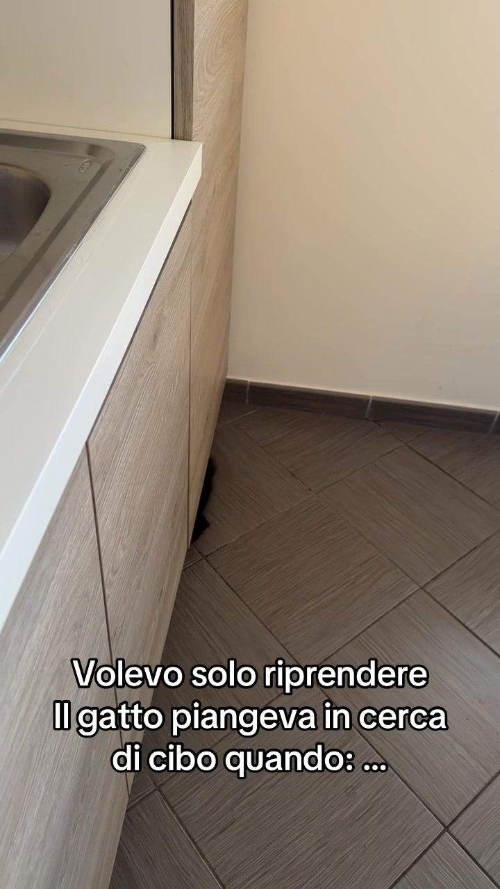@Francesca Conte