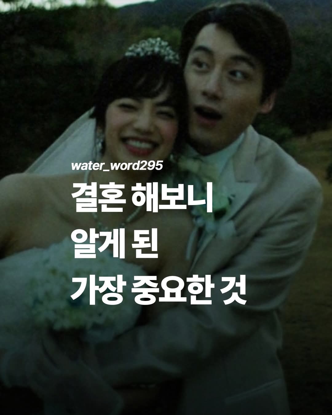 @@냥이글