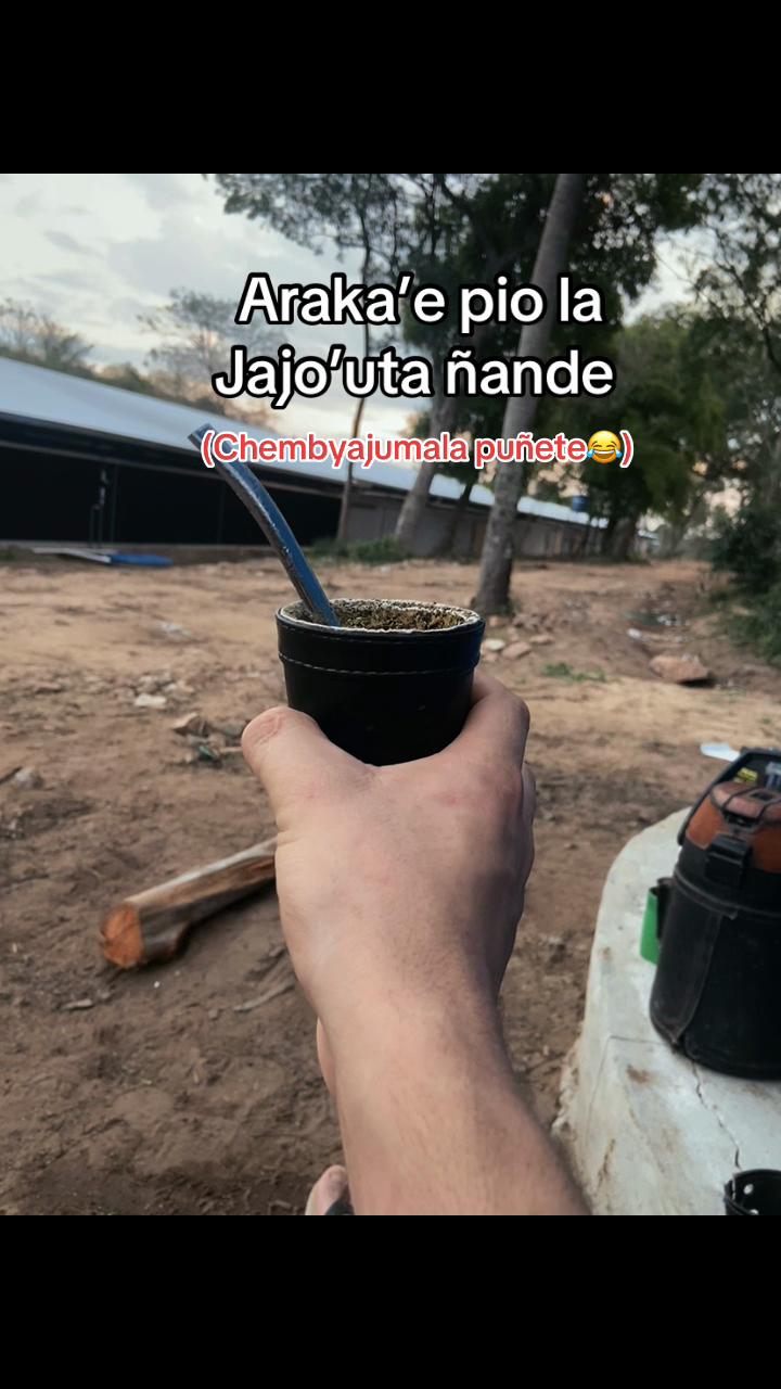 @&Aacute;ngel 🦅