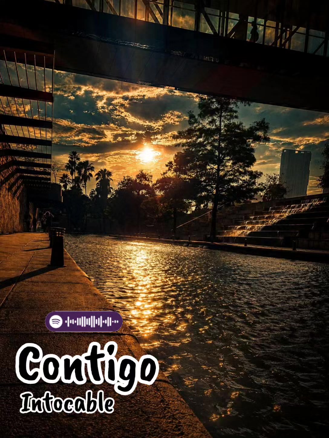 @Insomnio & M&uacute;sica