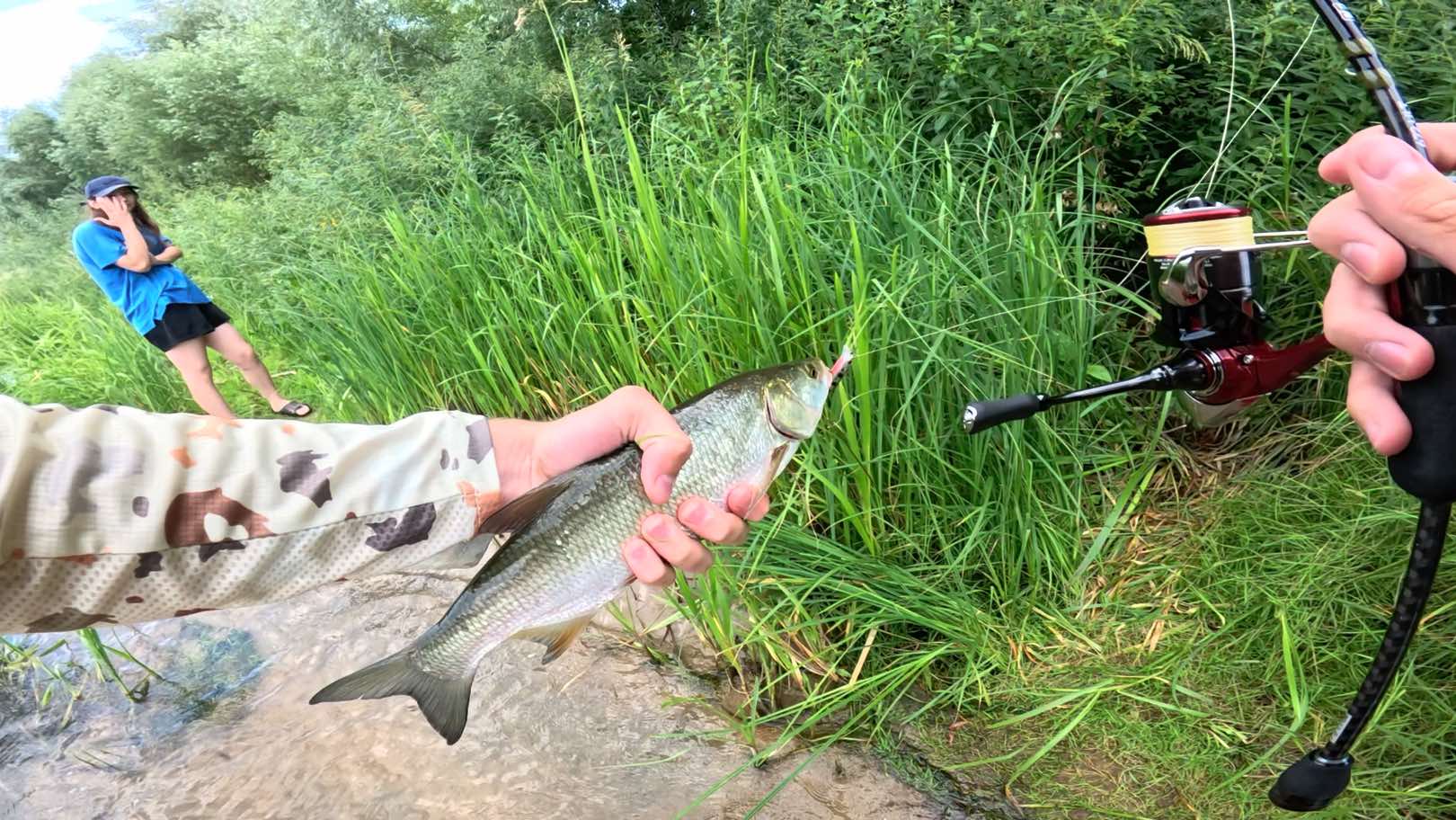 @FE_FISH
