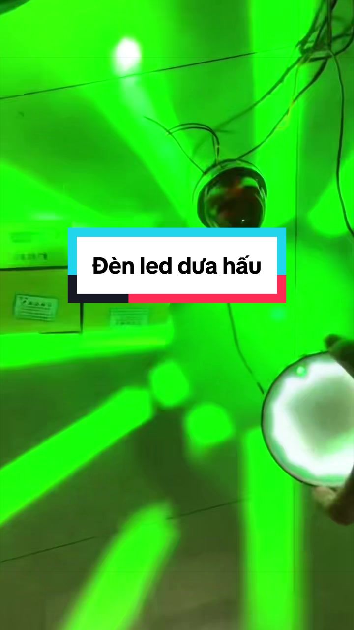 @Nấm' Store