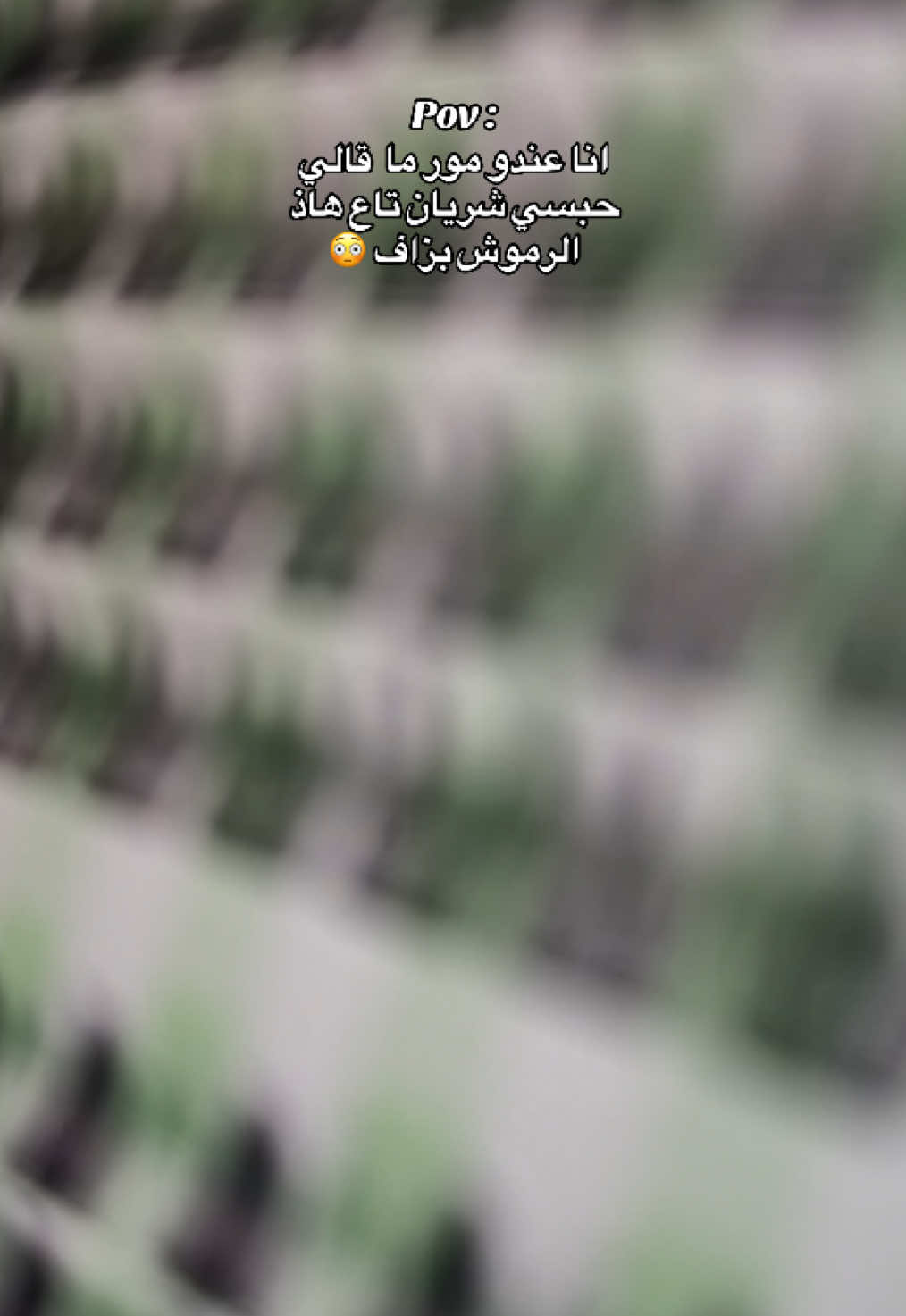 @𝐸𝓋𝒶 𝓁𝒶𝓈𝒽𝑒𝓈 🎀