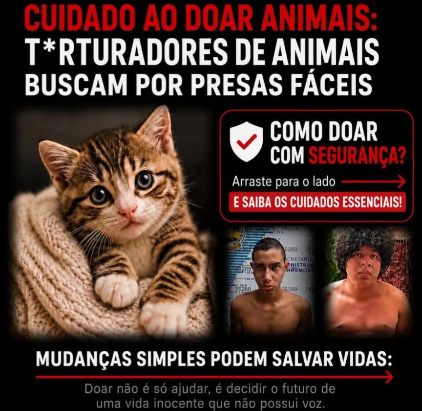 @Resist&ecirc;ncia Felina 🇧🇷
