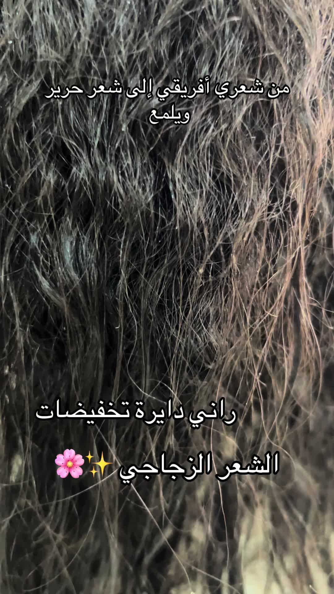 @meriem foula