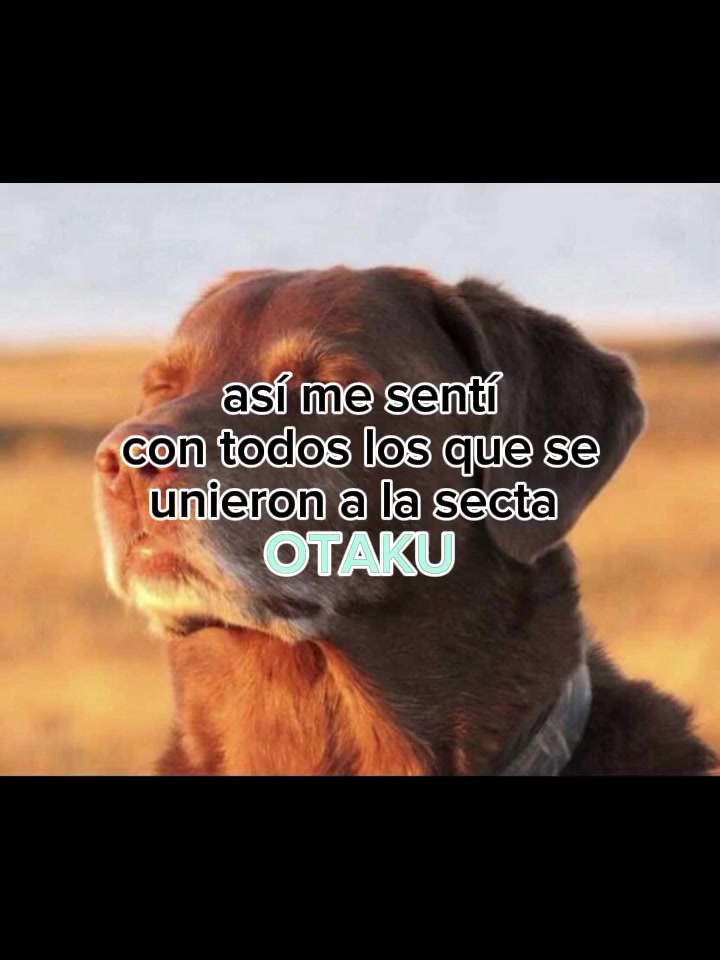 @Fani🫧