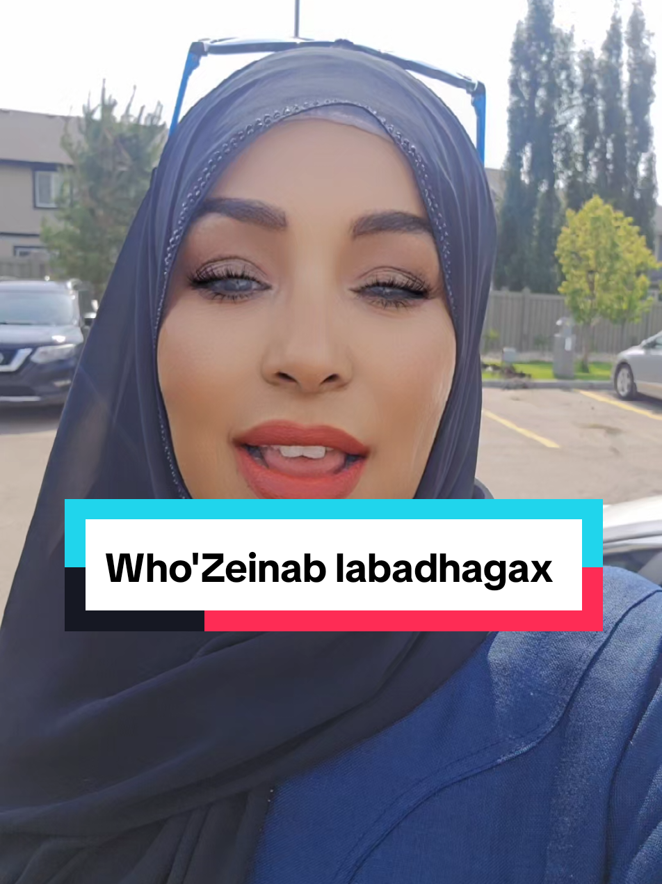 @Zeinab labadhagax