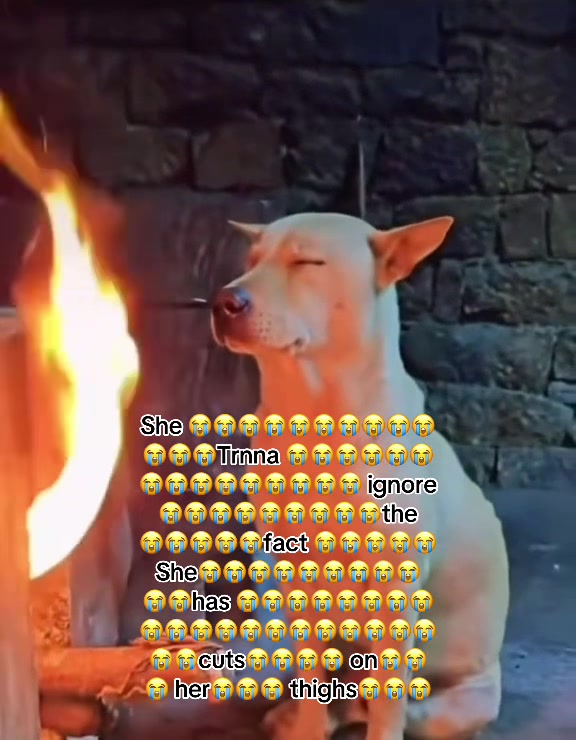 @초콜릿 칩 쿠키!🍪