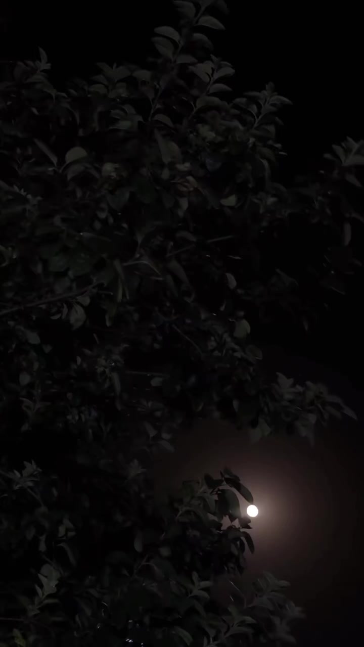 @𝓨𝓸𝓾𝓼𝓲𝓯  ོ ⠀