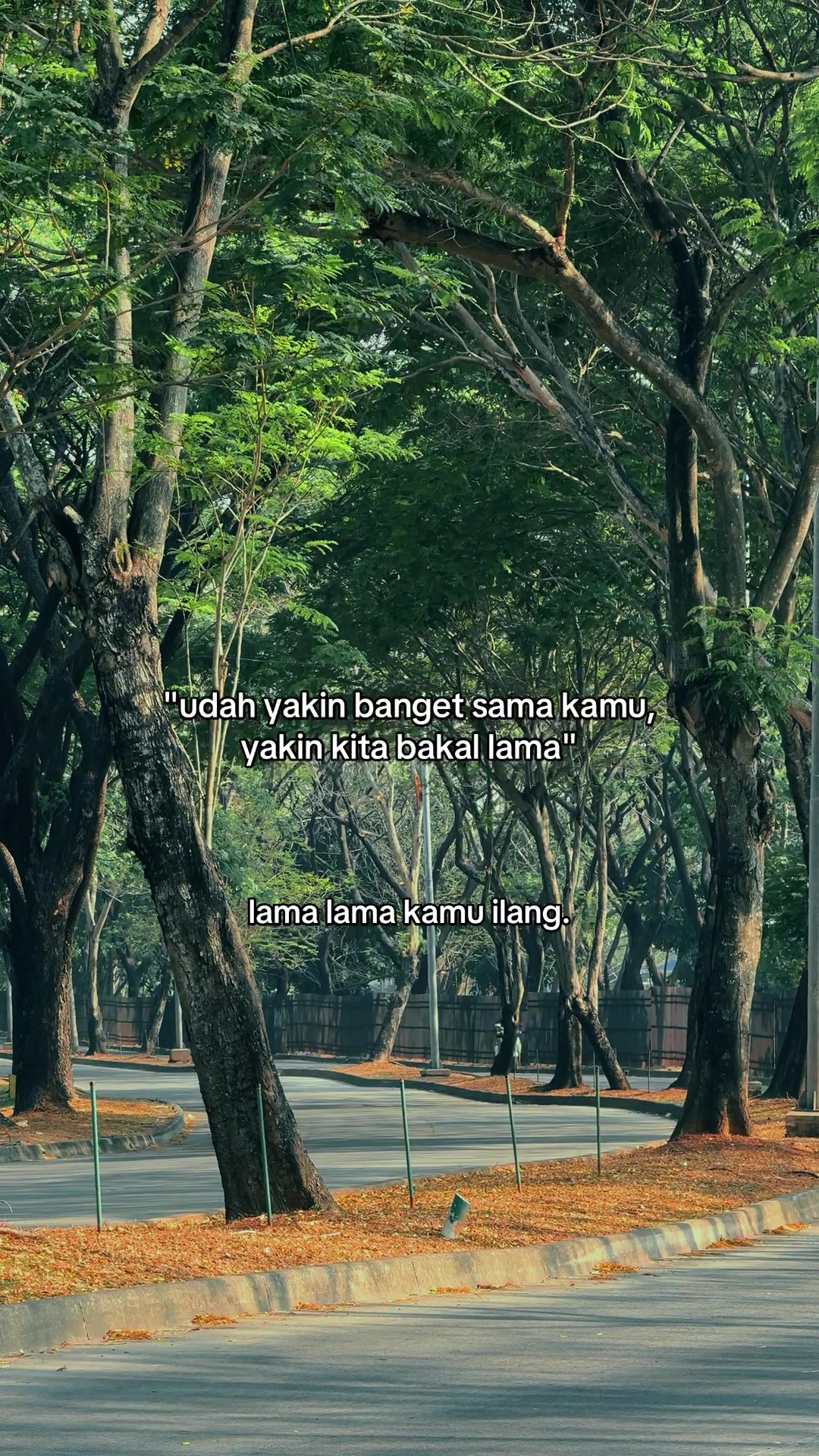 @Lyrics Music