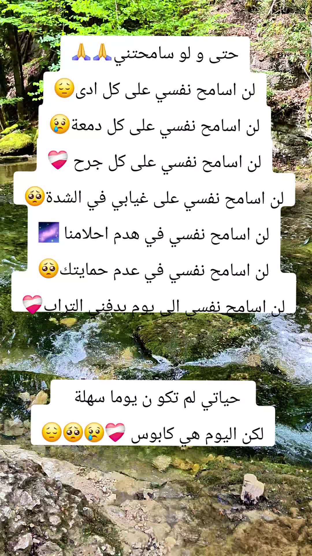 @sidahmed77❤️🩹31