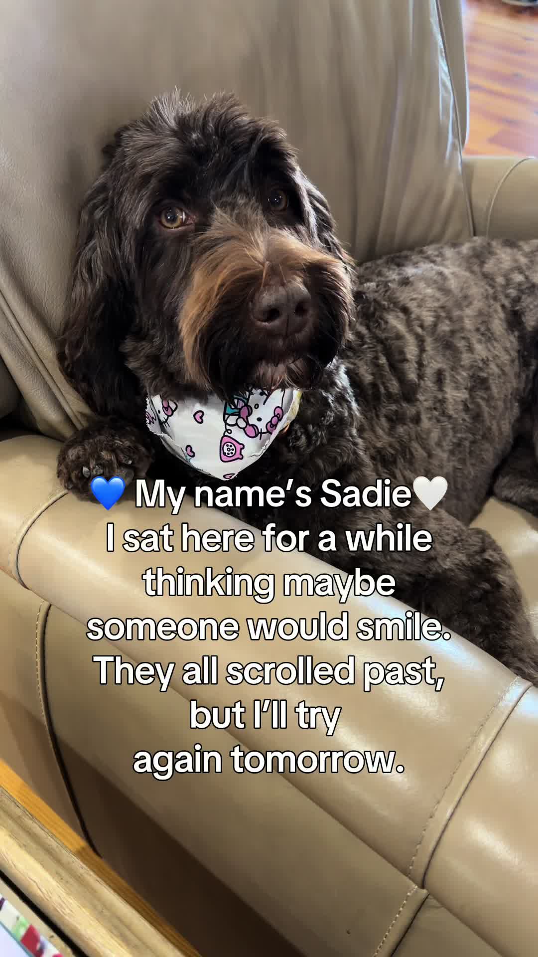 @Sadie the Doodle