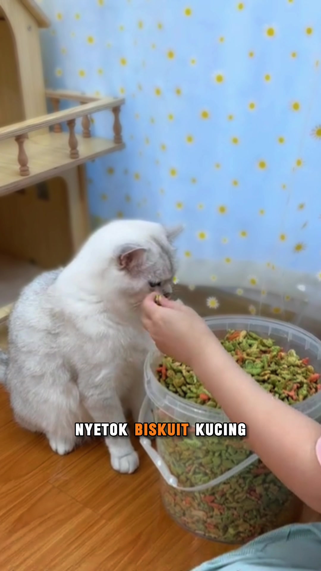 @MOCHA & MOCHI
