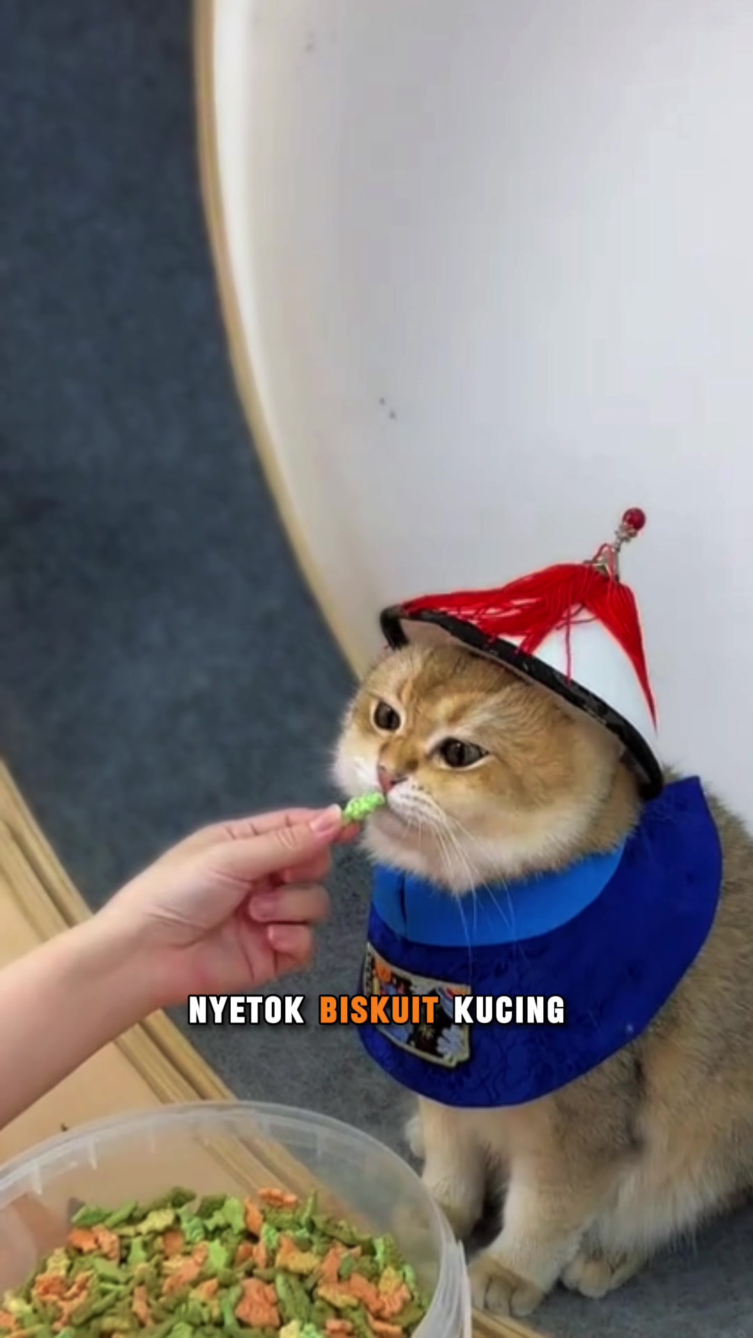 @MOCHA & MOCHI