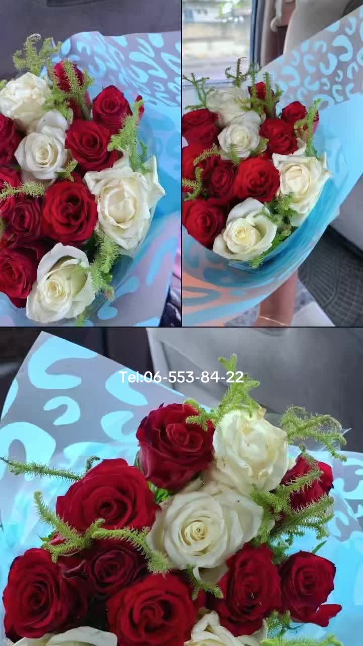 @kuzolahouse242