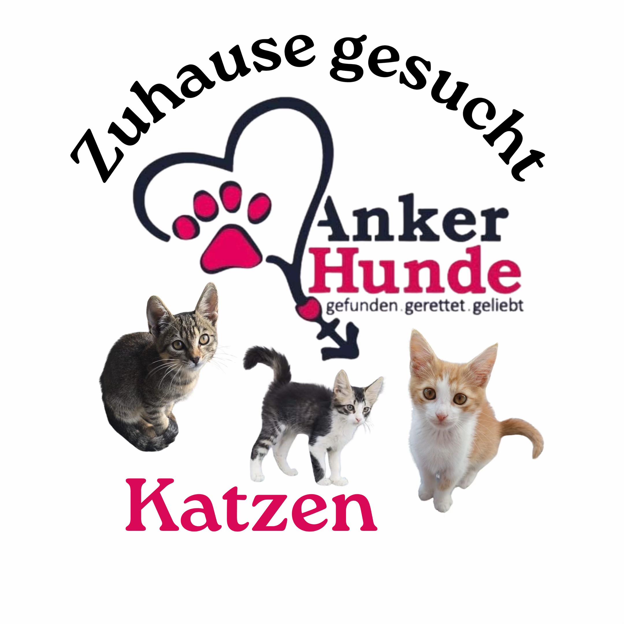 @Ankerhunde e.V.