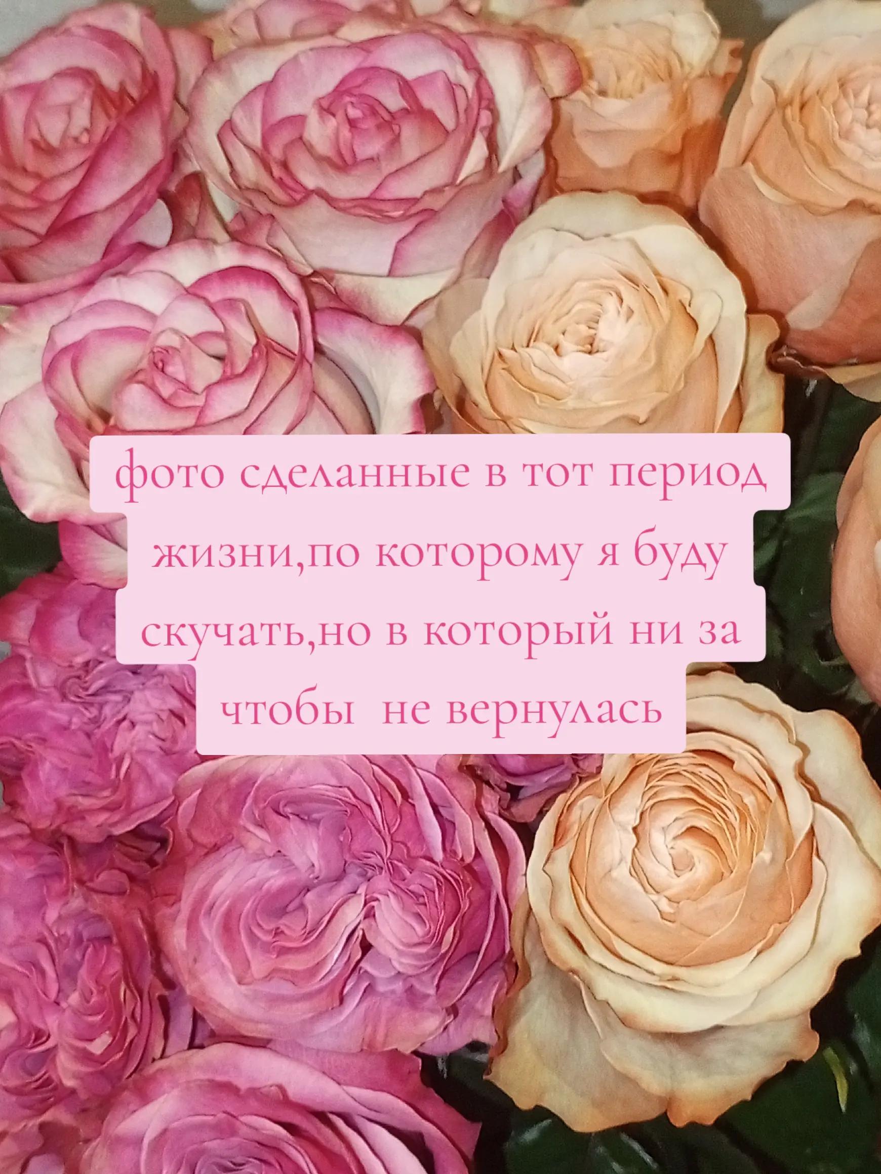 @Дарья Бакулина ♬♡