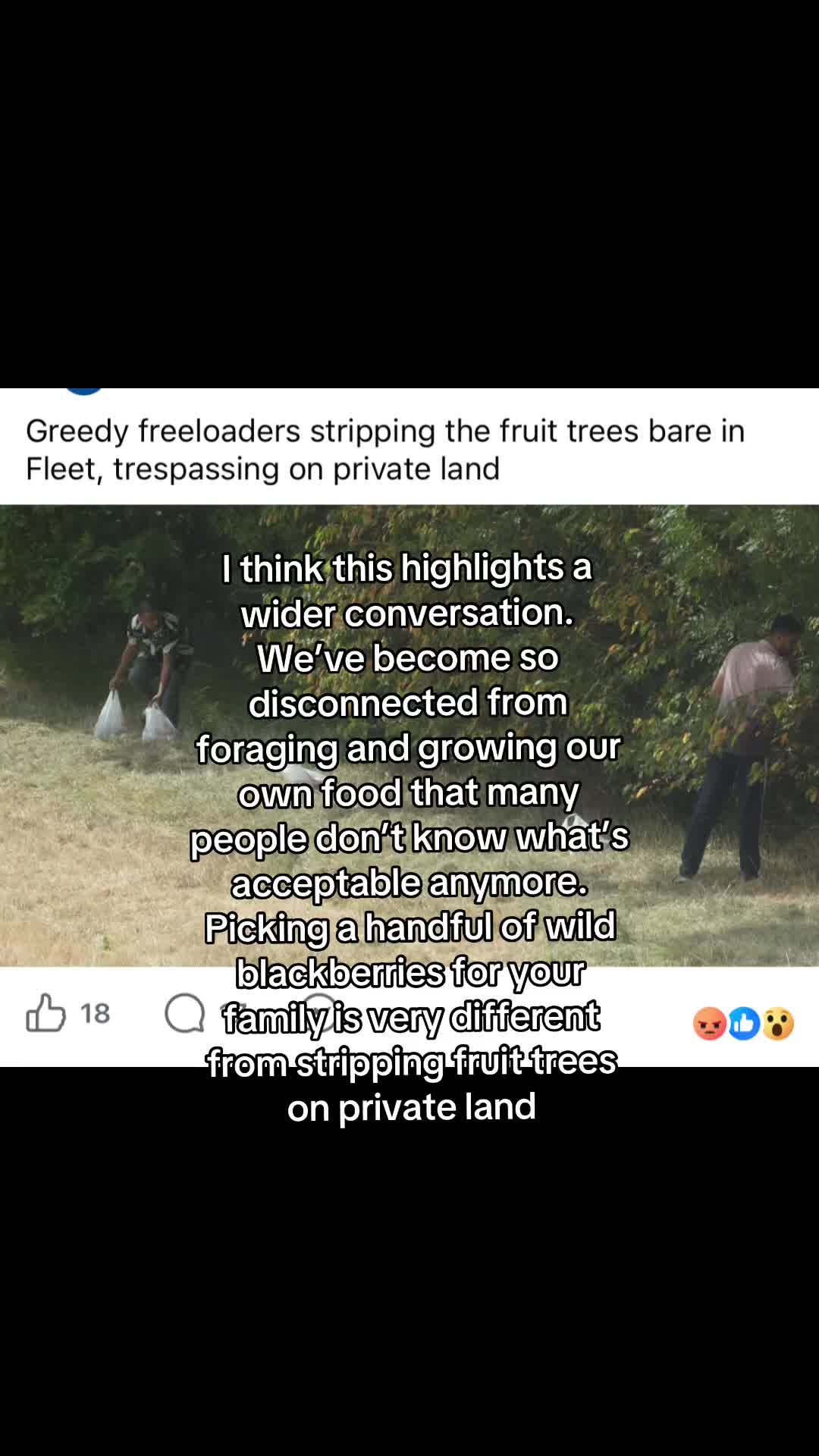 @CuriousGeorge
