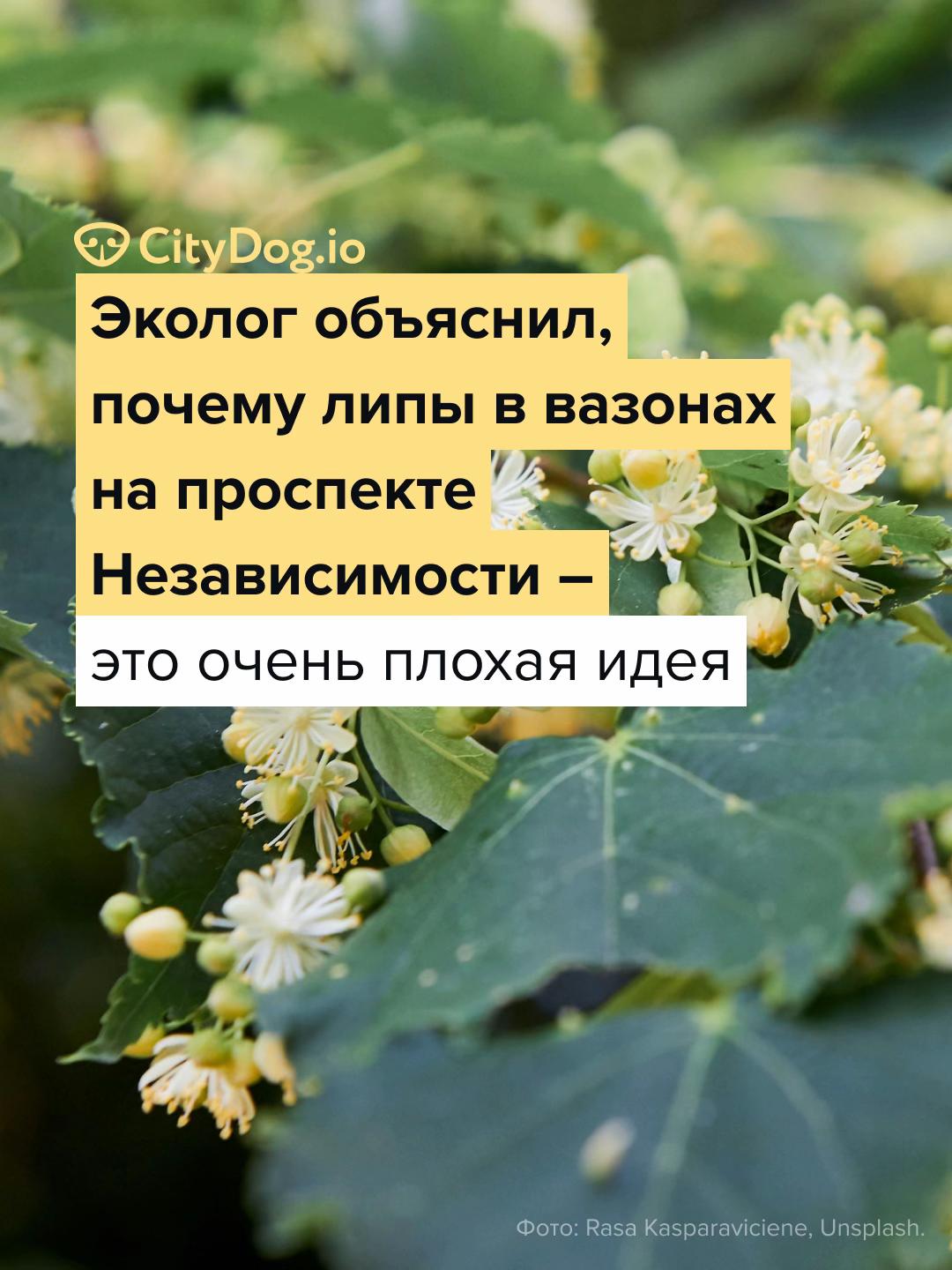 @CityDogby  журнал о Минске