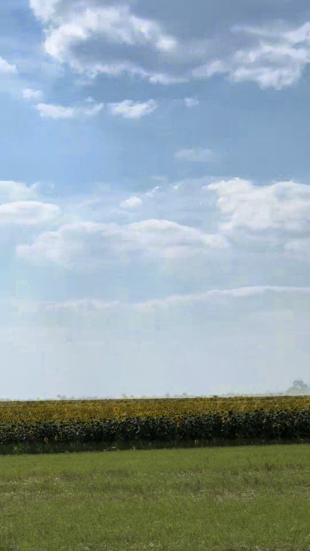 @Ірина Ліпай