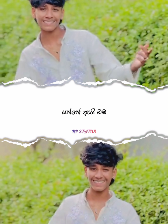 @||> RP 🇱🇰🐰❤️ <||