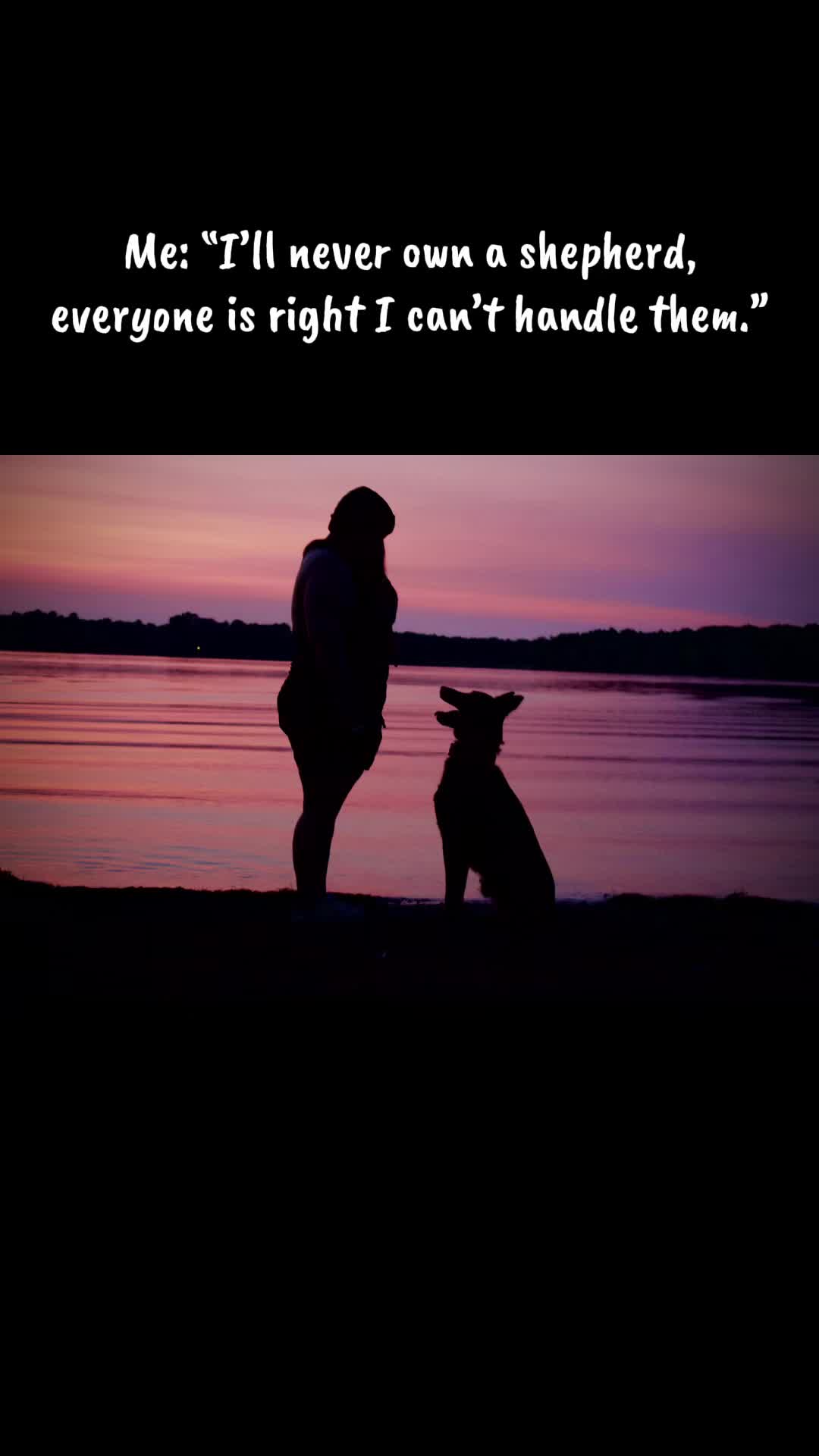 @Upsidedown&Above_corgis