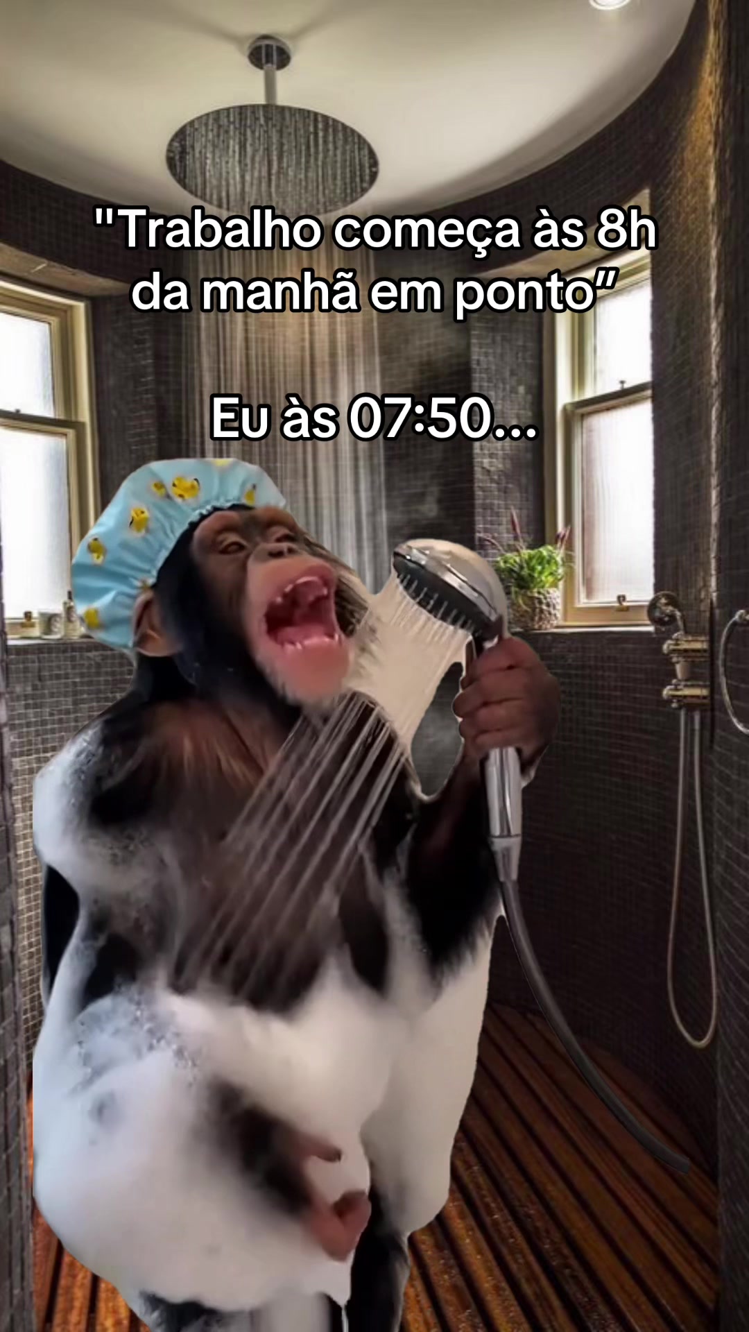 @tababadeira