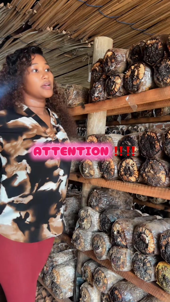 @Enjuba mushrooms