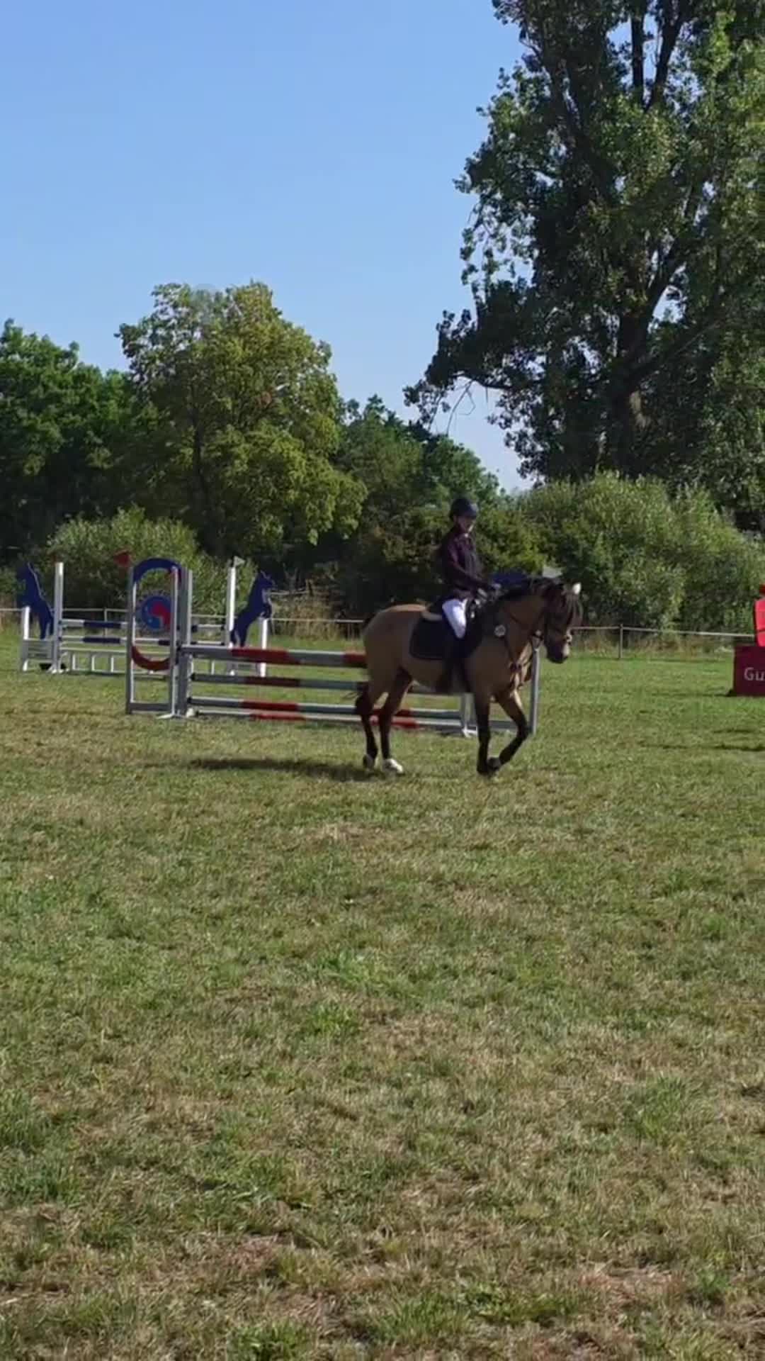 @Daily Pony&lsquo;s⚡️