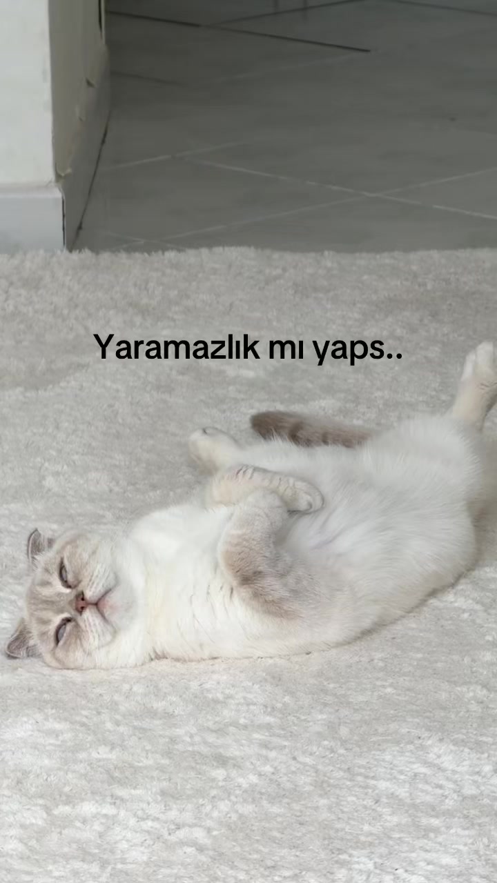 @Tuğba🫒