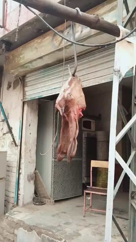 @Goli BHai