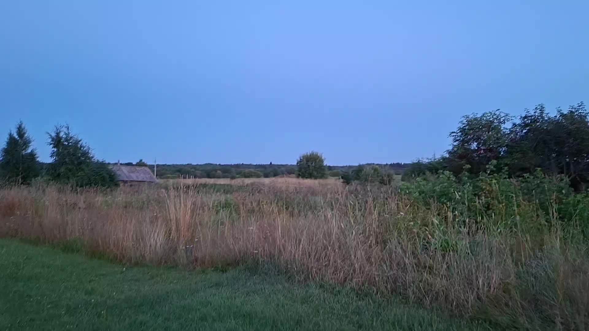 @𝘄𝗲𝗿𝘂𝗹𝗮𝘀𝗲𝗻