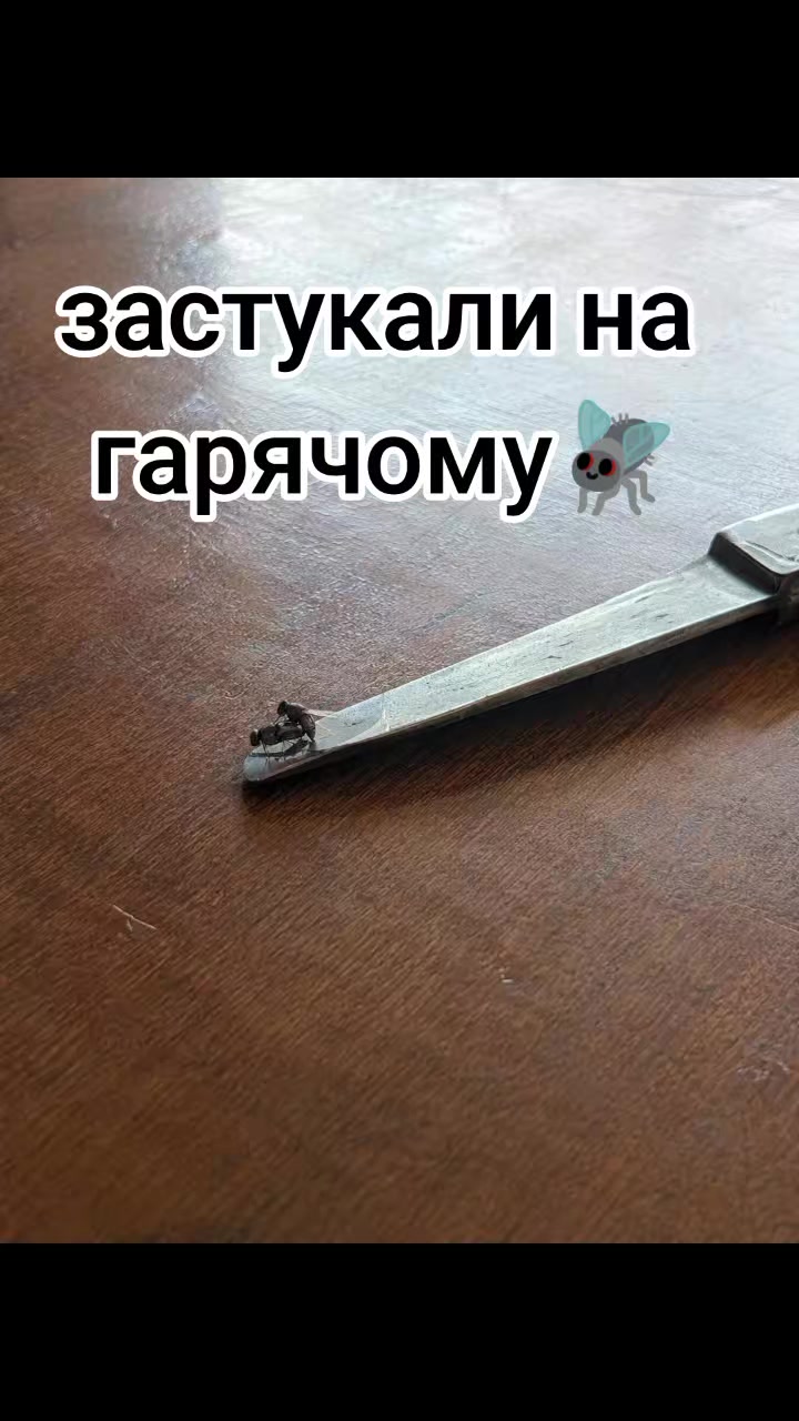 @Павло Євгеньєв 86