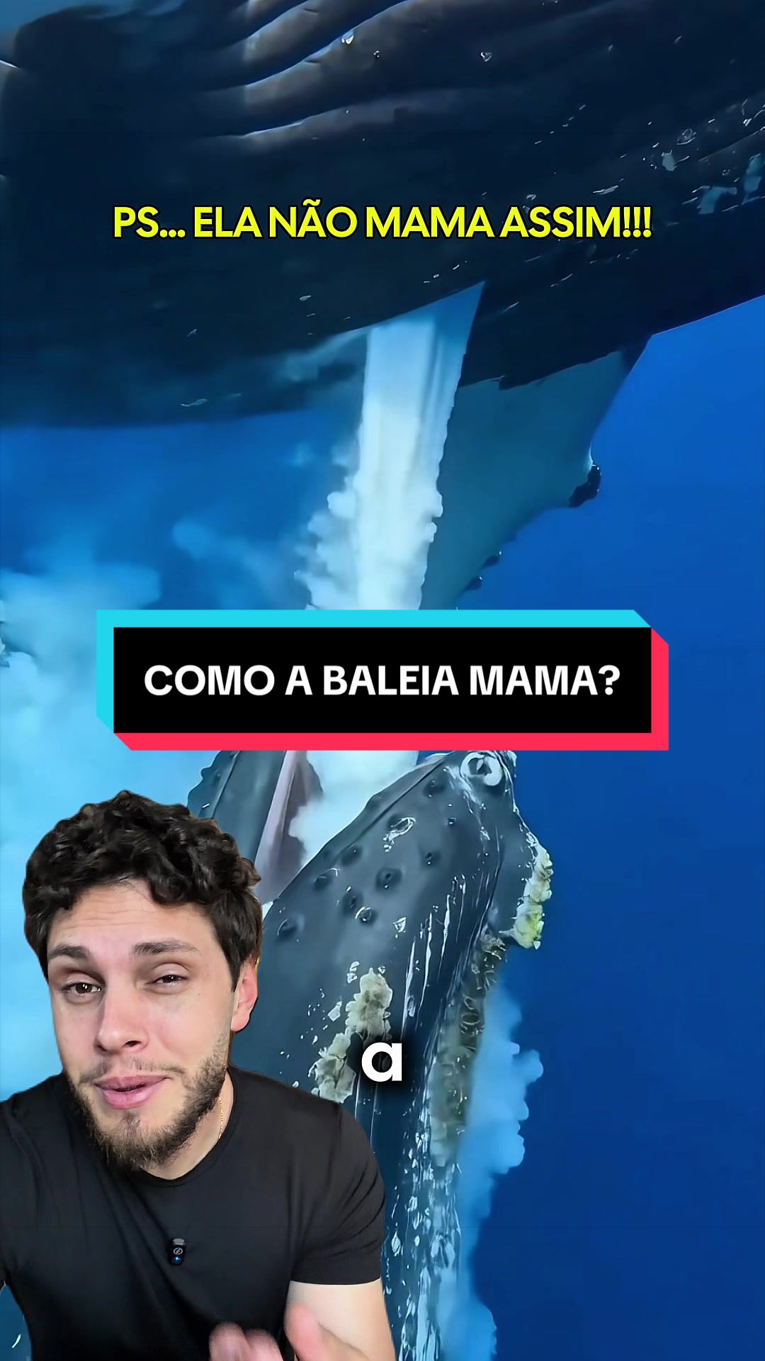 @Fercavs