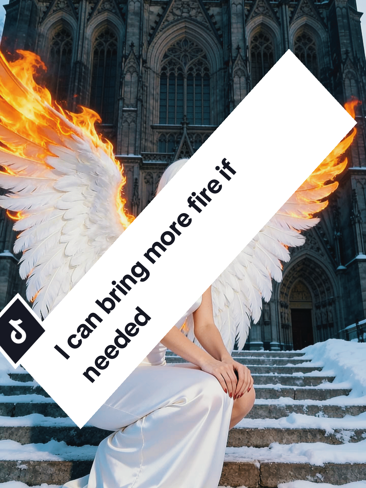 @𝕋.ℕ. 𝕎𝕚𝕝𝕕𝕖𝕣 ✨