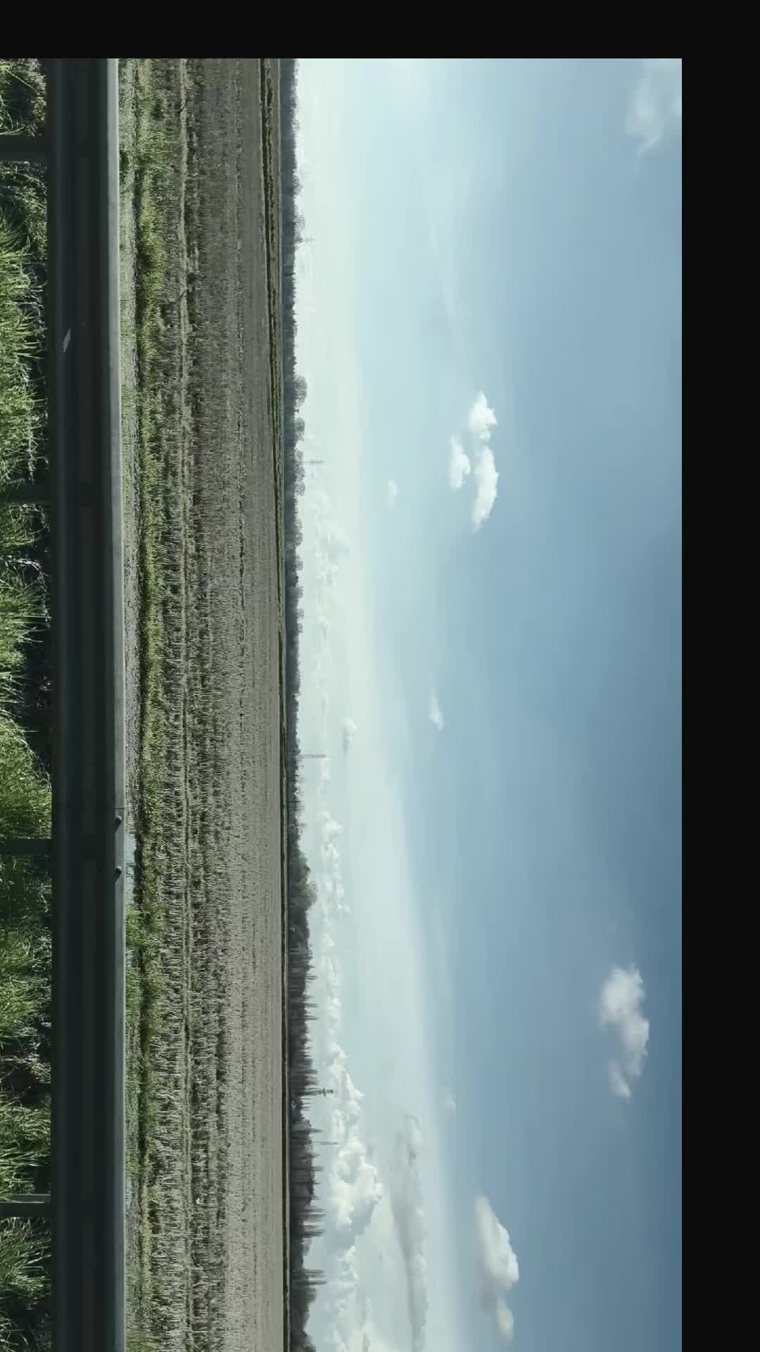 @Kojot