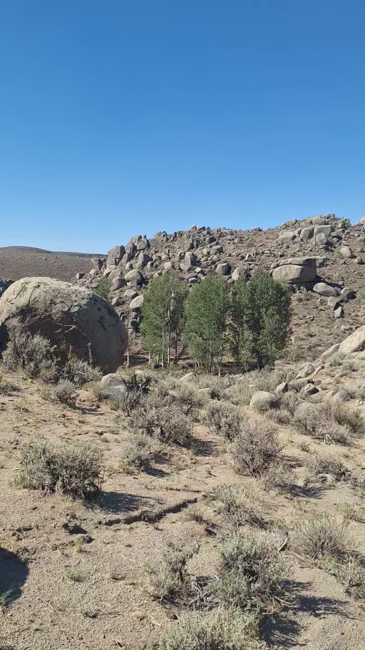 @Nevada HIGHDesert