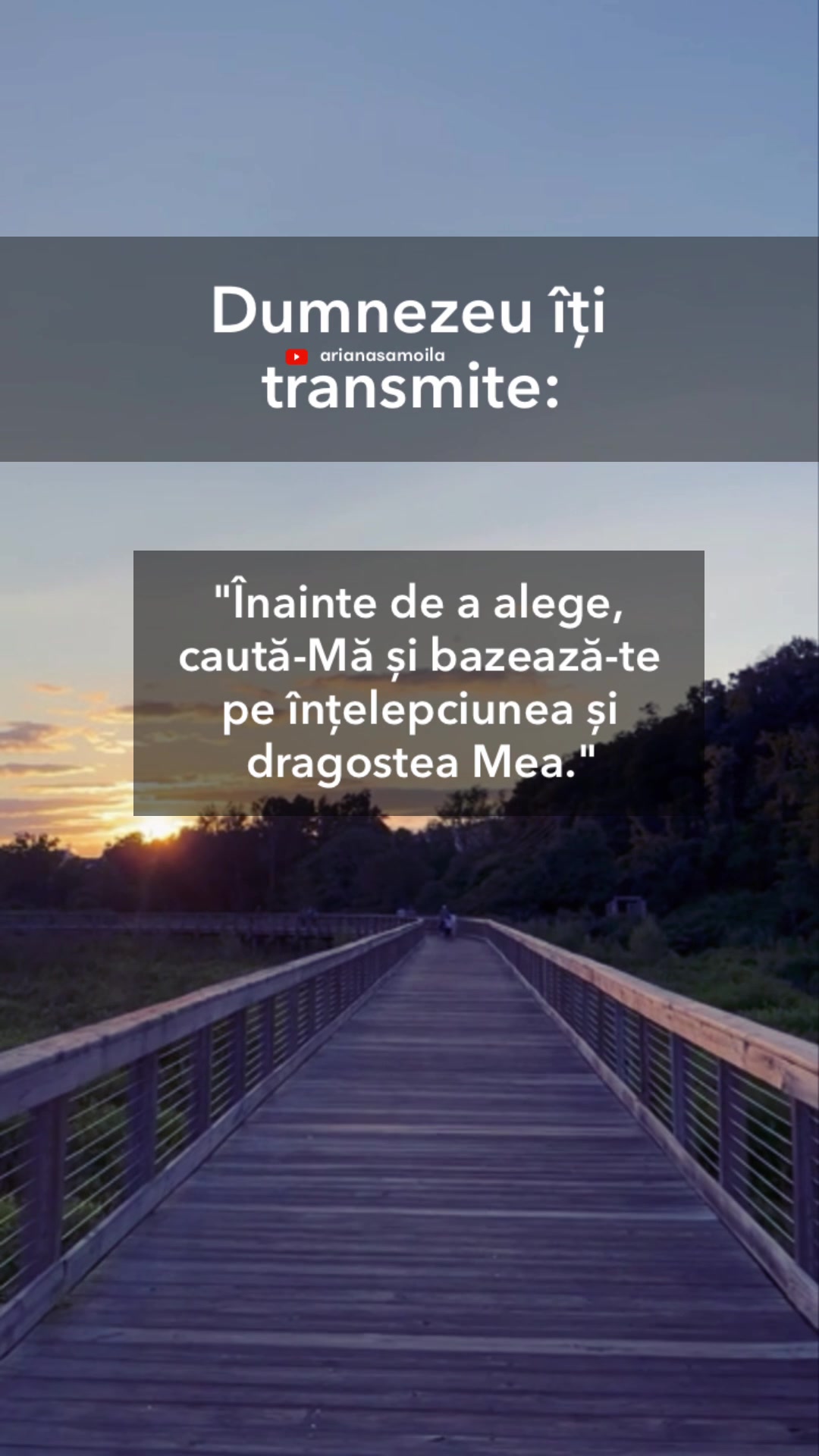 @Ariana Samoilă