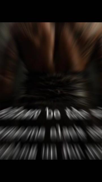 @ghost