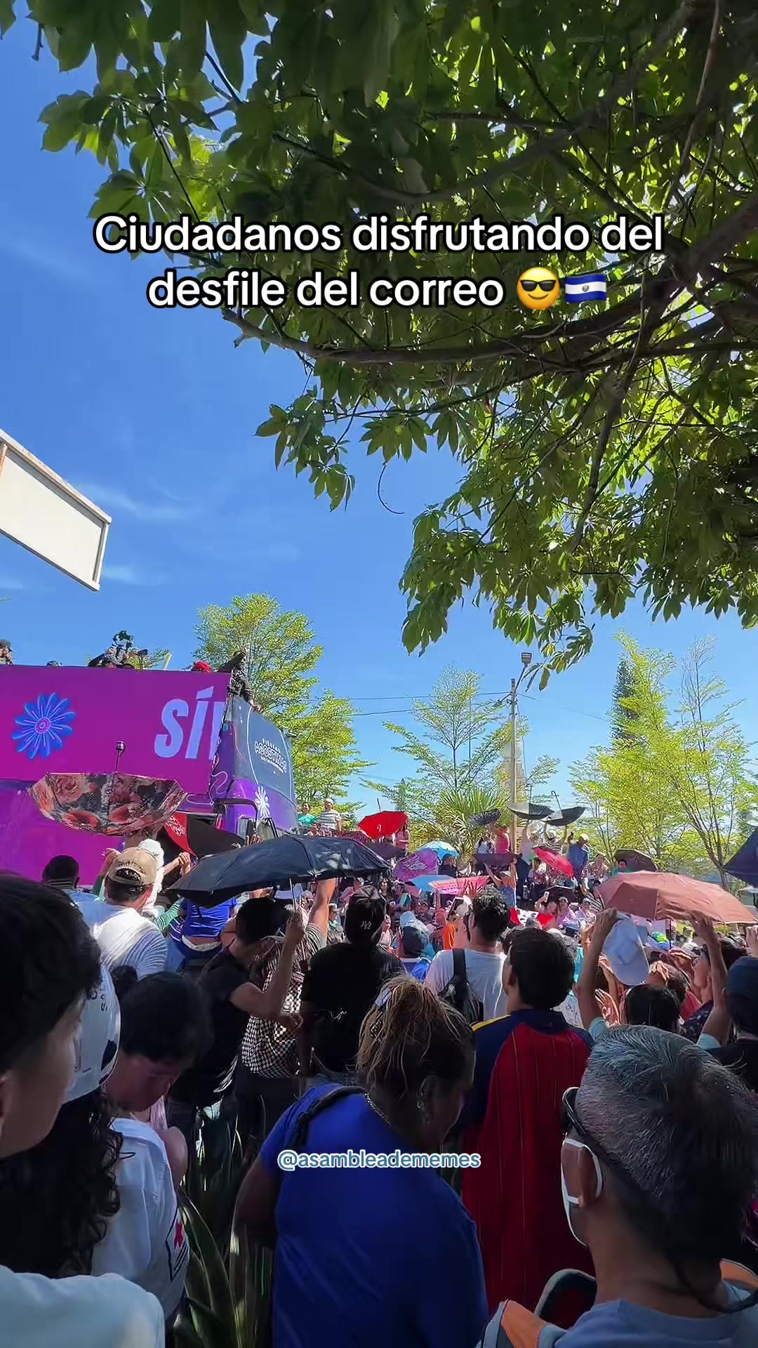 @Asamblea de Memes