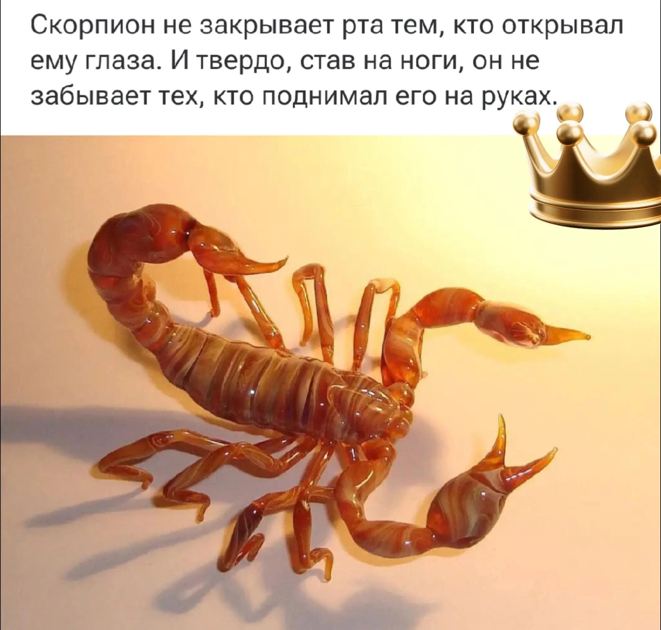 @SamirƏhmədli