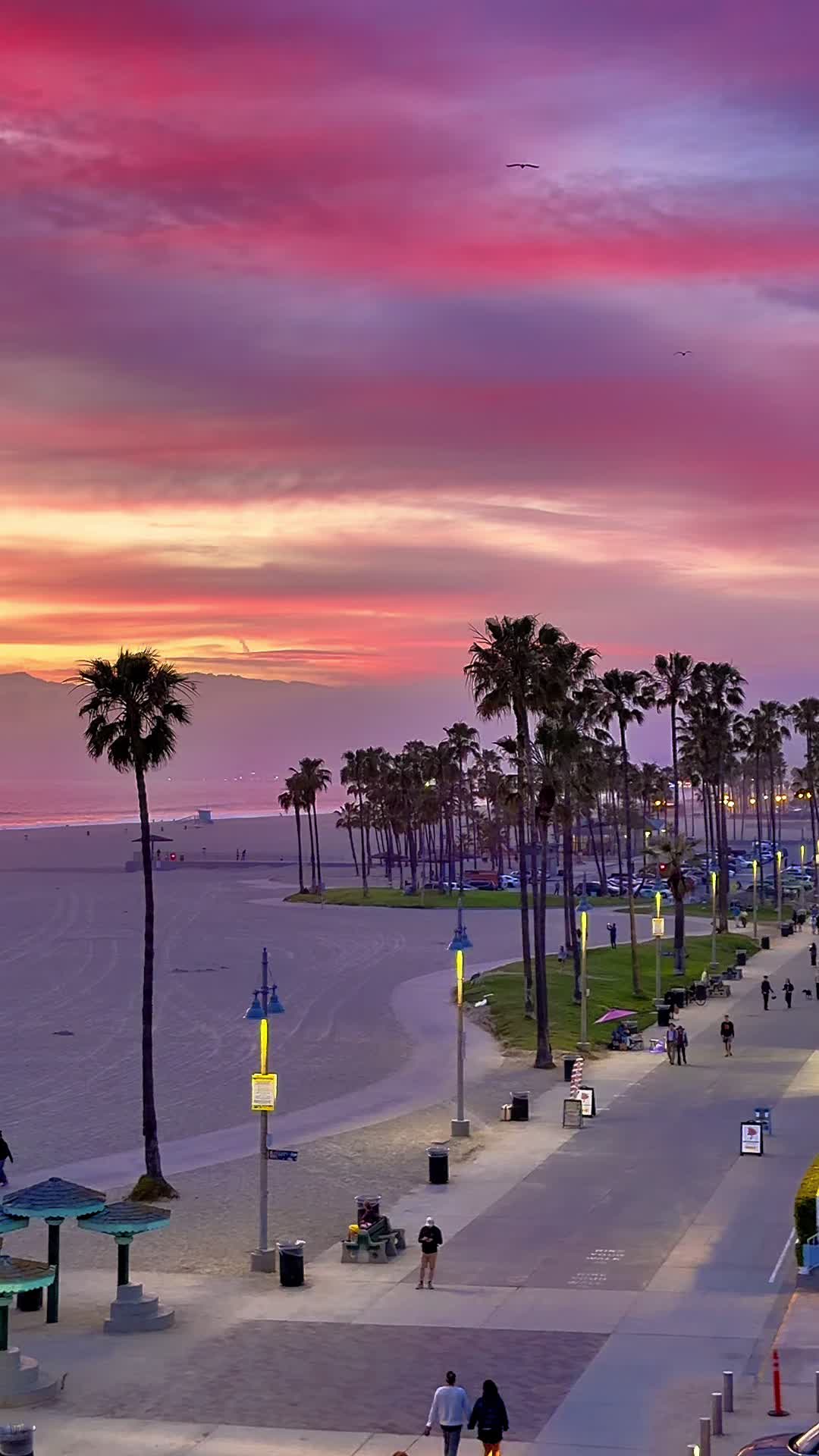 @Venice Beach Boardwalk