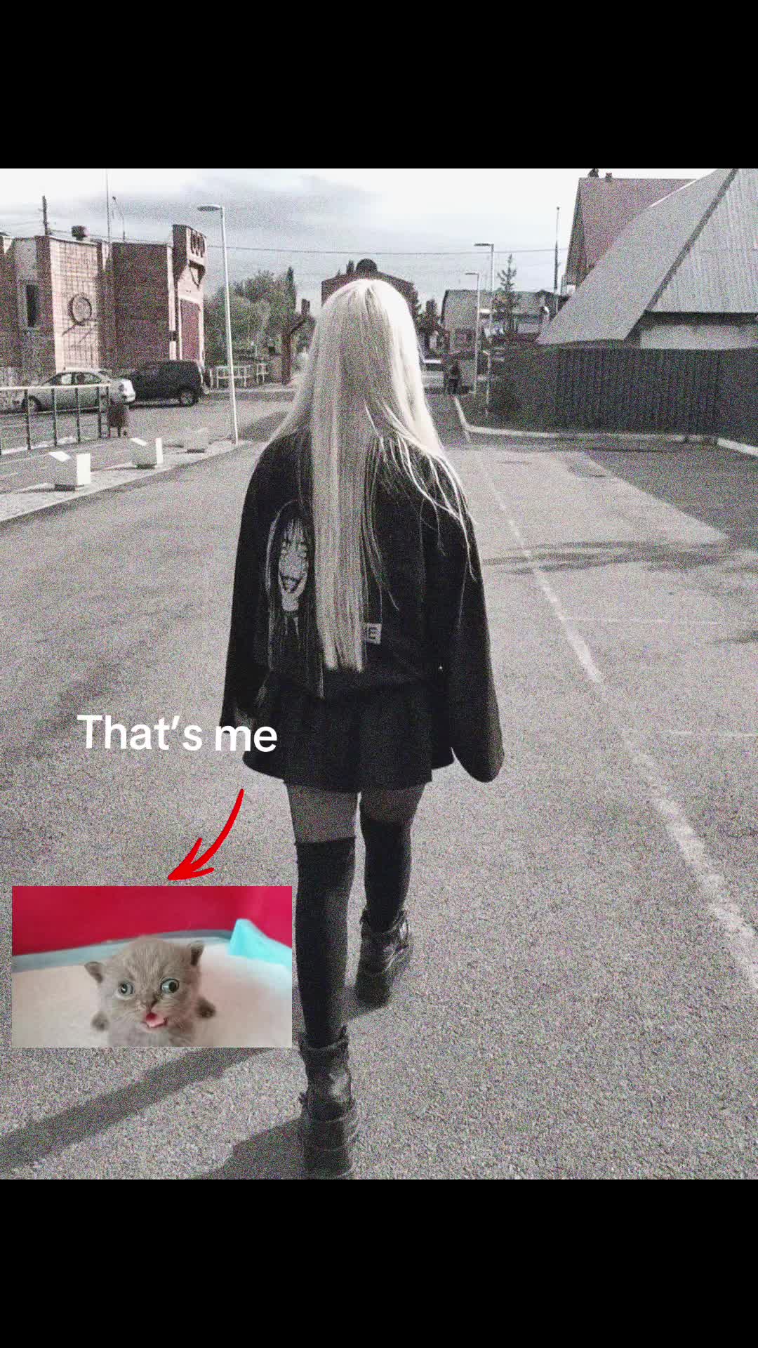 @Sqizw