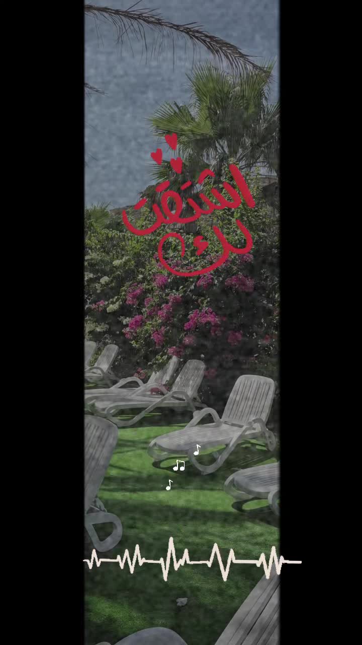 @sidahmed77❤️🩹31